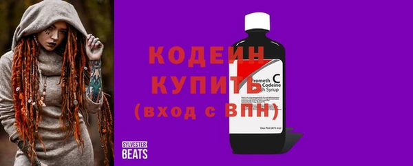 мдпв Верхний Тагил