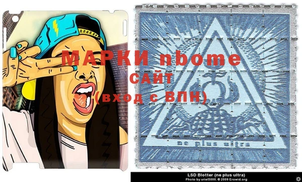 spice Верея