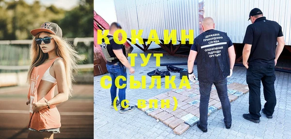 мдпв Верхний Тагил