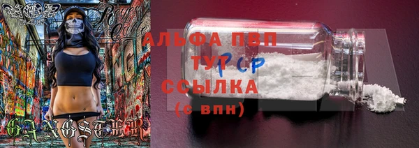 мдпв Верхний Тагил