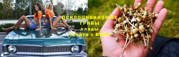 spice Верея
