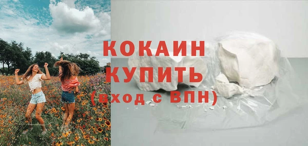 мдпв Верхний Тагил